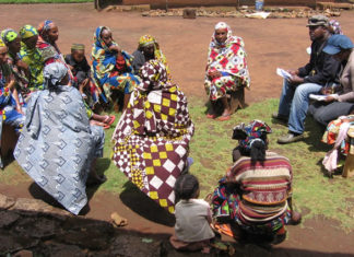 Focus Group Discussion on Farmer Grazer Conflict, Bamenda, Cameroon