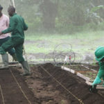 Agric1